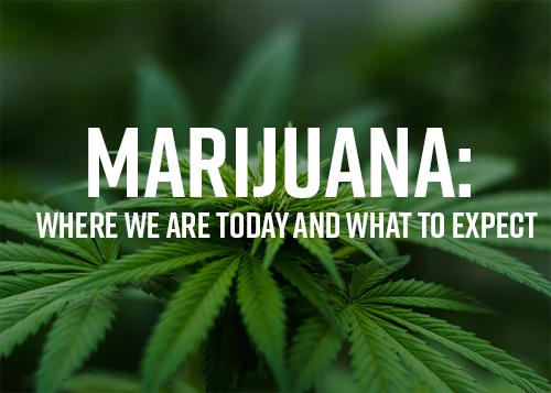 Marijuana: Where we are today and what to expect